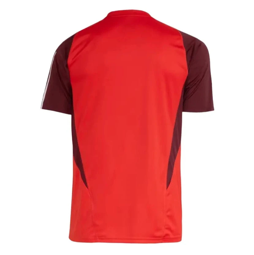 Camisa Internacional 2024/25 Treino
