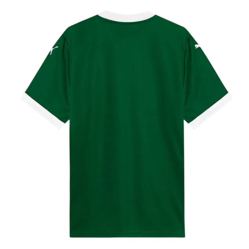 Camisa Palmeiras 2025 Home - Masculina
