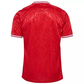 Camisa Dinamarca 2024/25 I Home - Masculina