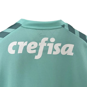 Camisa Palmeiras 2024/25 I Home Goleiro - Masculina