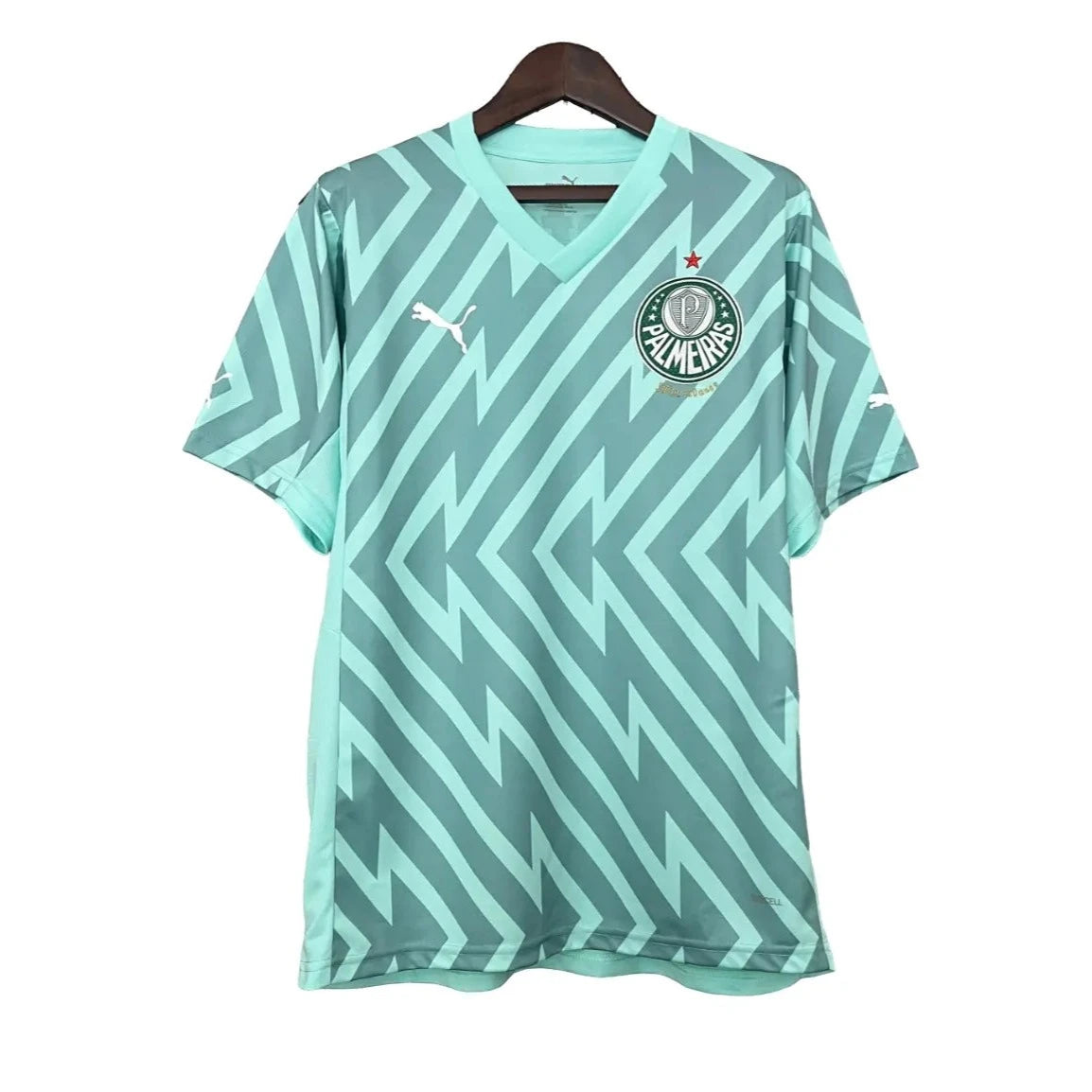 Camisa Palmeiras 2024/25 I Home Goleiro - Masculina