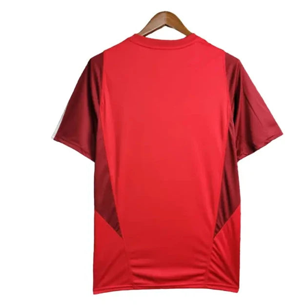 Camisa Internacional 2024/25 Treino - Masculina