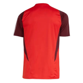 Camisa Internacional 2024/25 Treino 