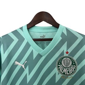 Camisa Palmeiras 2024/25 I Home Goleiro - Masculina