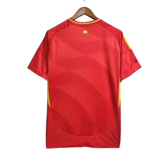 Camisa Espanha 2024/25 I - Masculina