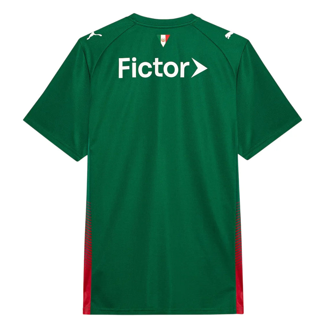 Camisa Palmeiras 2026 Home